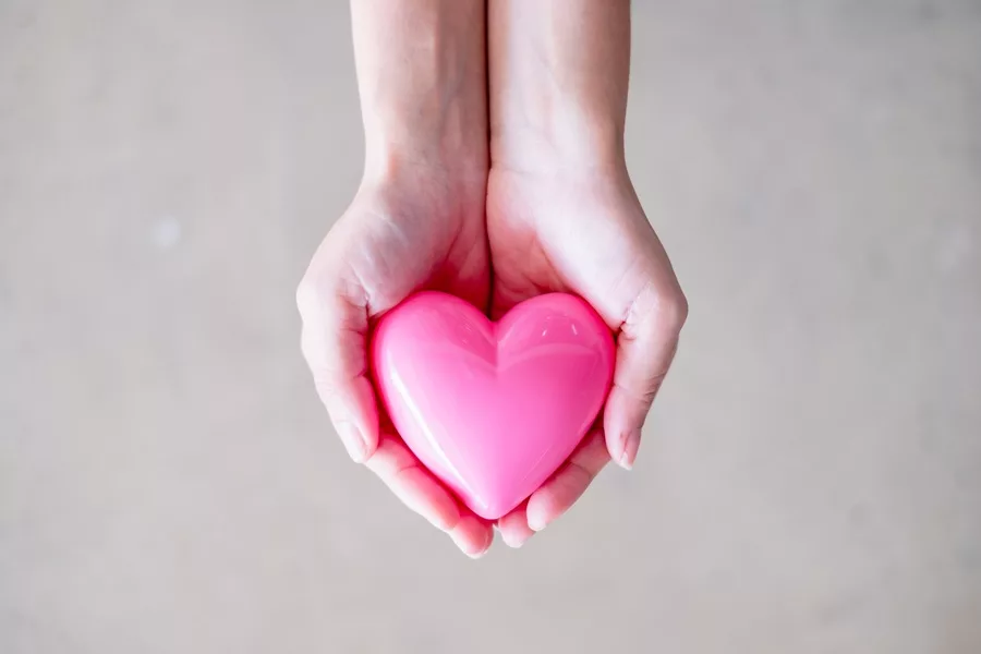 Female hand holding pink heart, concept of health , medicine and charity