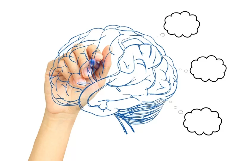 Hand with pen drawing brain thinking on whiteboard