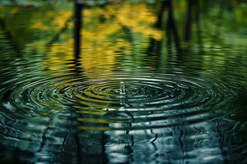 nature-pond-surface-ripples-mirroring-tree-patterns-nature